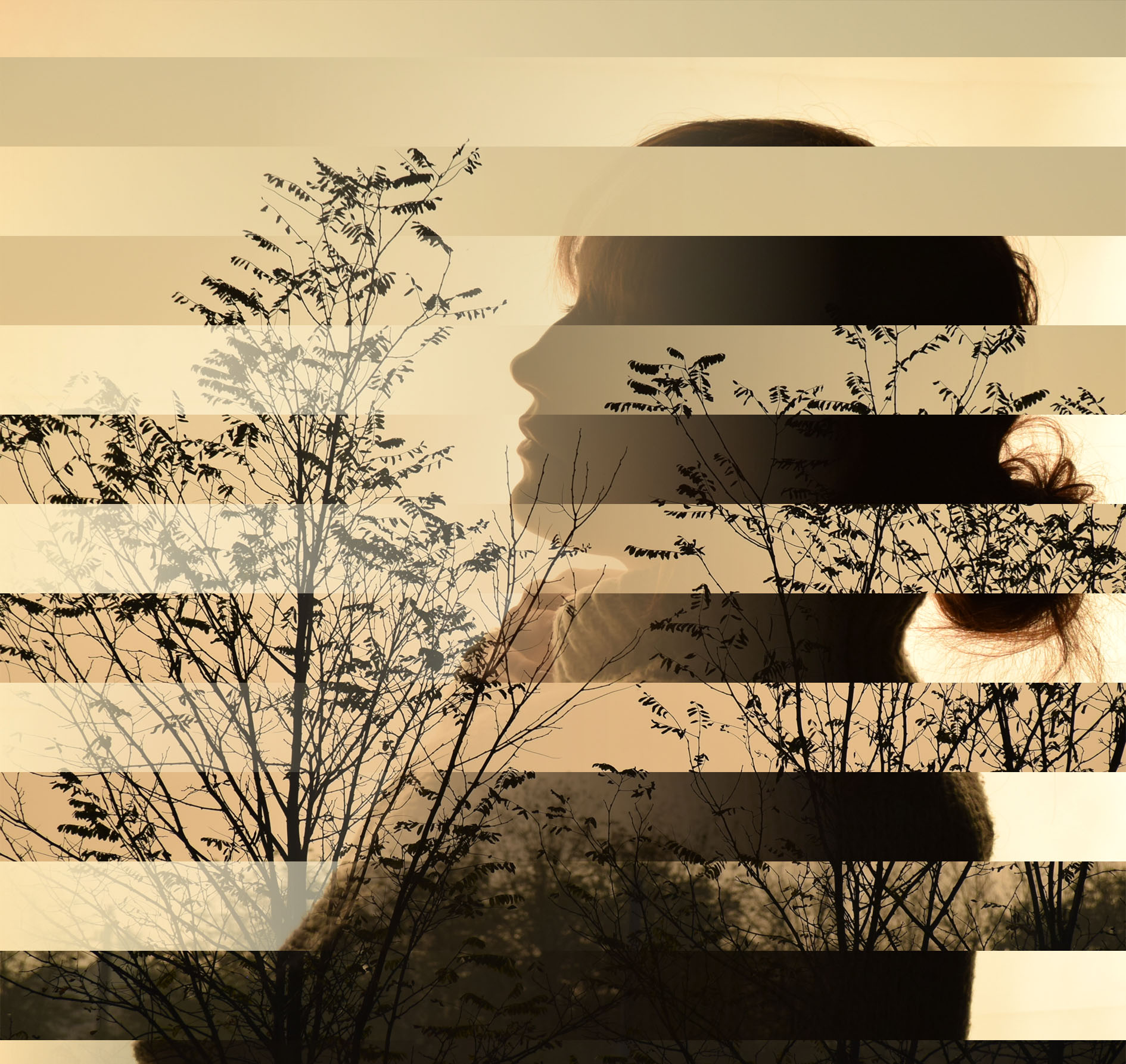 Kollázs és montázs tervezése