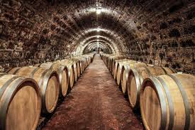 Tokaji borospince - Cladosporium cellerea (nemespenész ) felülettel