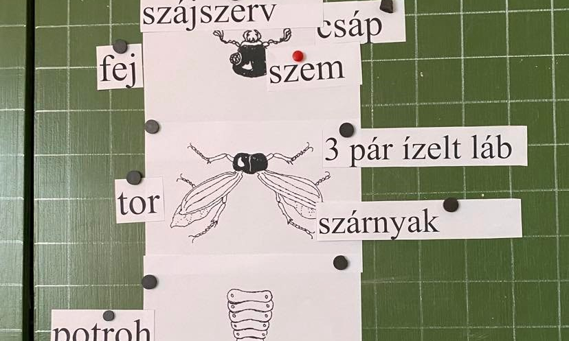Melléklet 1.