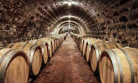 Tokaji borospince - Cladosporium cellerea (nemespenész ) felülettel